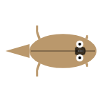 Appendage Length: Rear Long