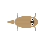 Appendage Surface: All Legs