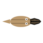 Jaw Position and Length: Projected