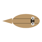 Jaw Position and Length: Recessed Grazer
