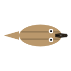 Mouth Width: Small
