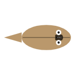 Shell Width: None