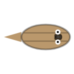 Shell Width + Strength: Narrow + Strong